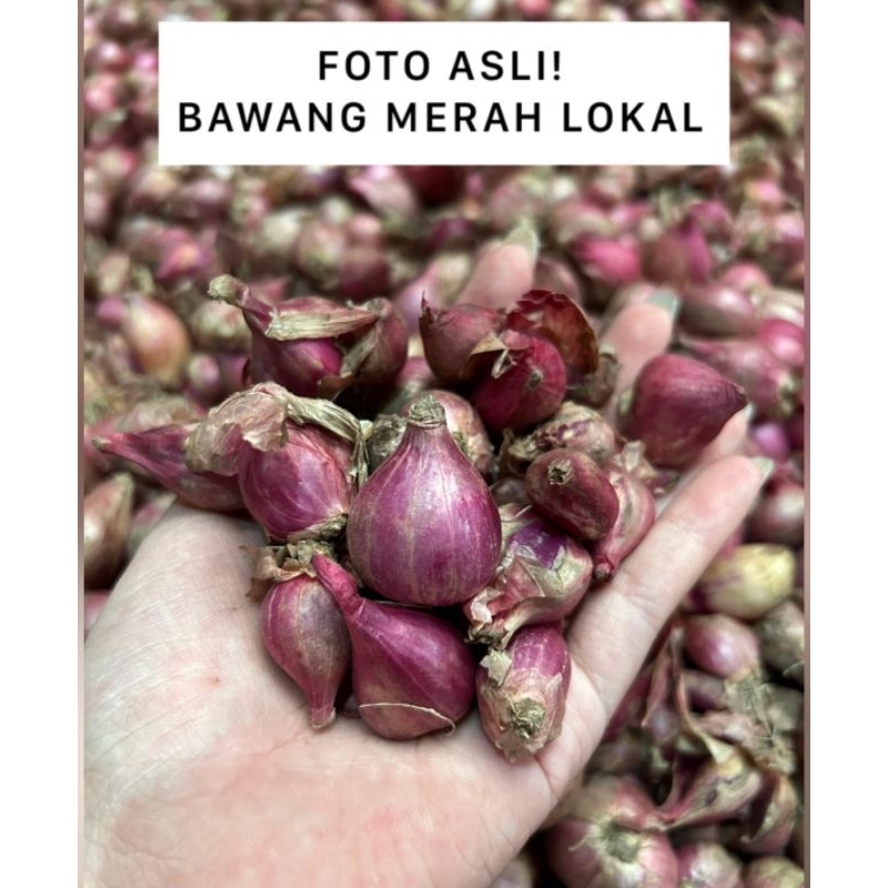 

BAWANG MERAH LOKAL TERMURAH KERING 250GR / 500GR / 1000GR / 1KG / BRAMBANG BAMER MALANG PROBOLINGGO BREBES NGANJUK KUPAS KULIT