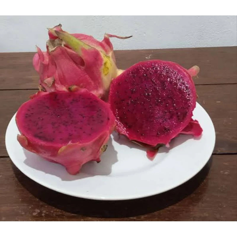 

Buah Naga Merah Fresh 1 kg