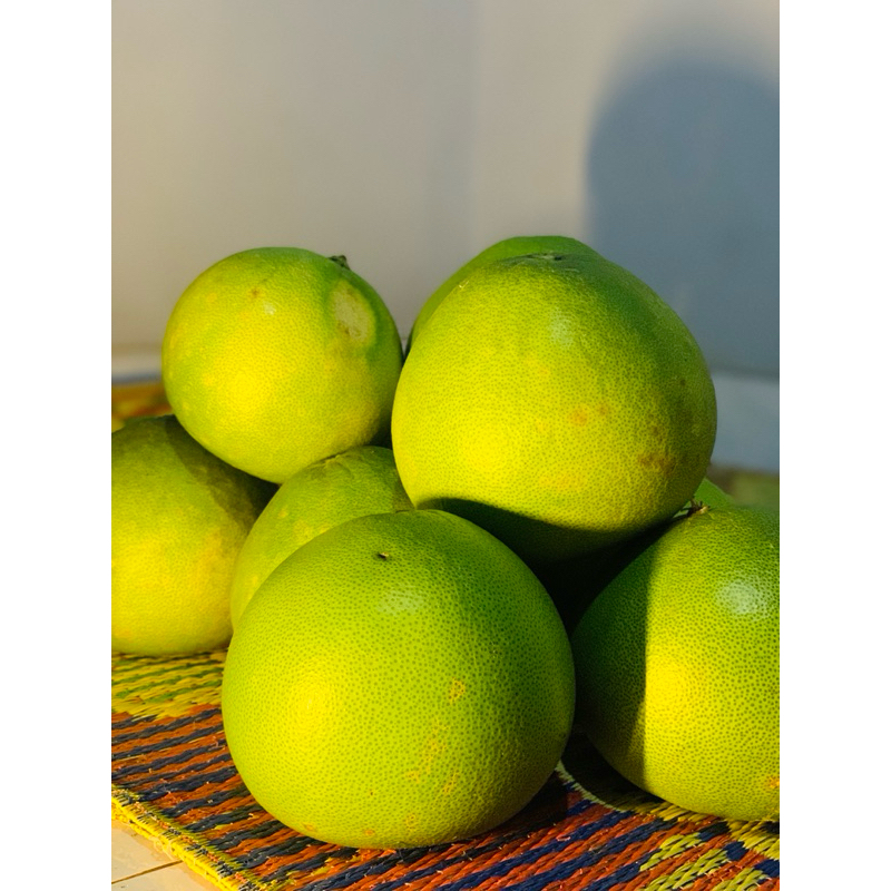 

JERUK PAMELO MADU MURIA BERAT 1,5 - 1,8 KG
