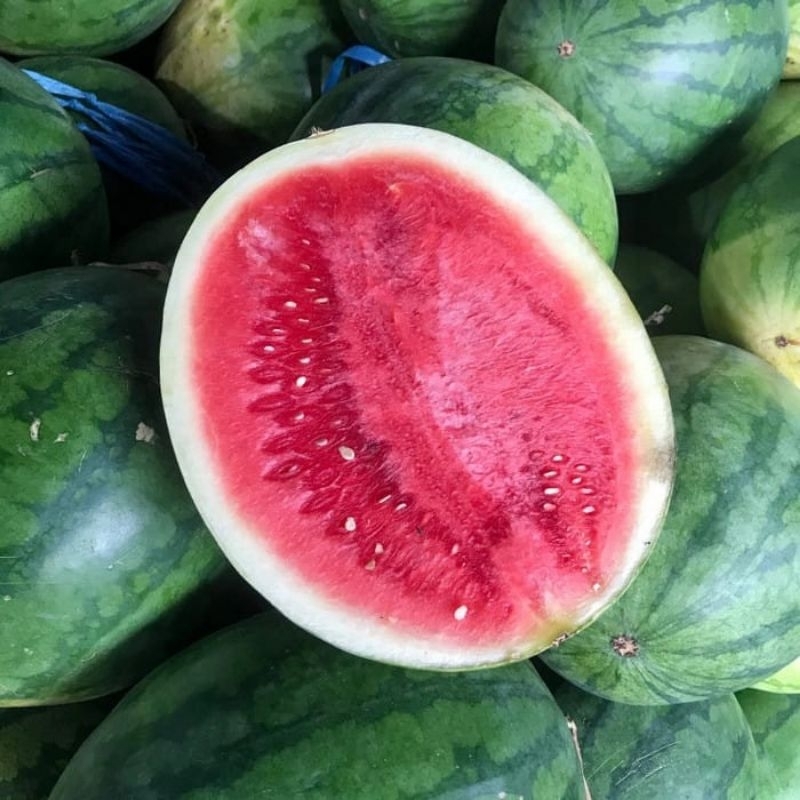 

BUAH FRESH Semangka Merah | Segar & Fresh | BUAH Premium