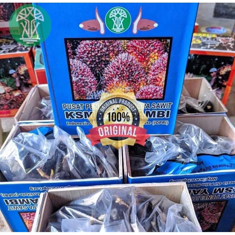 PPKS YANGAMBI BERKUALITAS UNGGUL