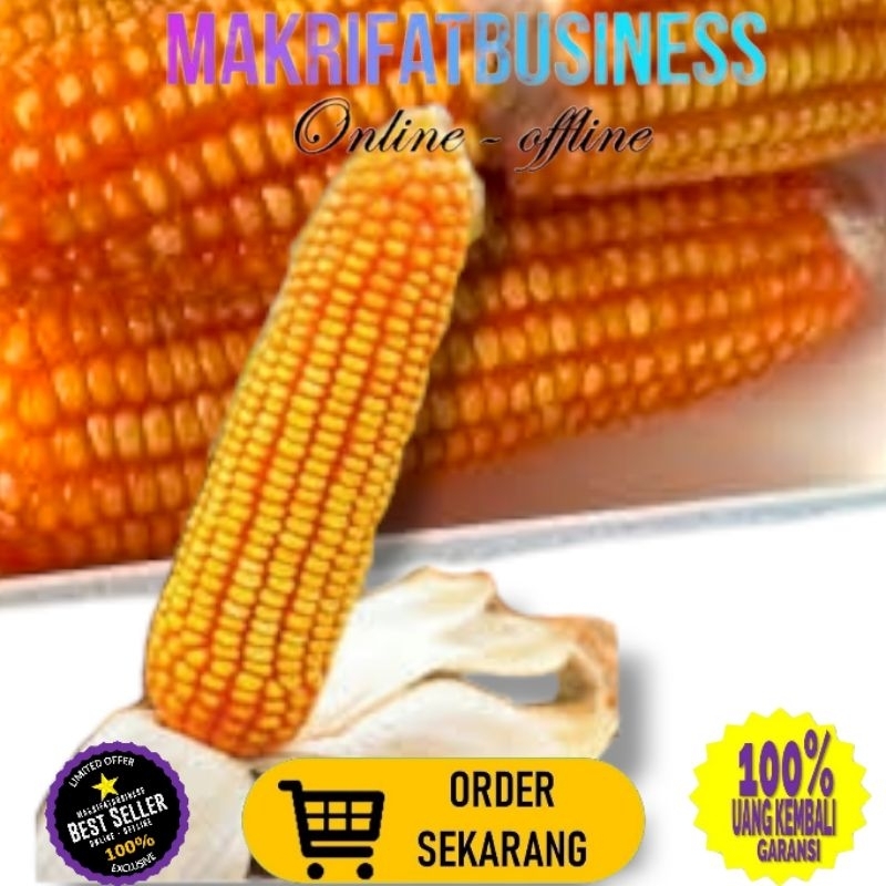 

MAKRIFATBUSINESS Paket 20 kg JAGUNG PIPIL HIBRIDA Kwalitas Bersih Untuk Konsumsi Pakan Ternak Bibit Serta Keperluan lainnya