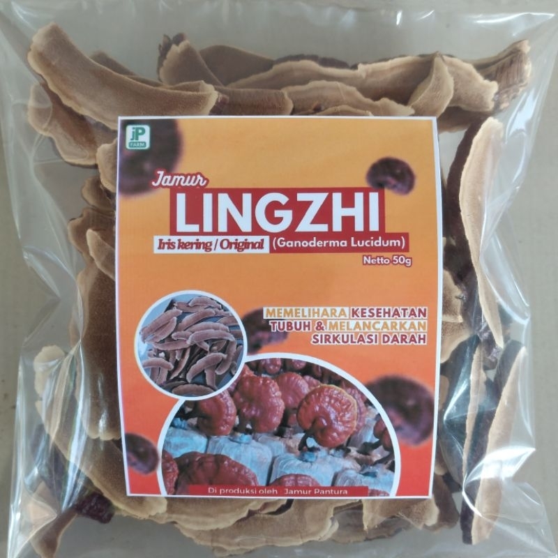

Jamur Lingzhi/Ling Zhi Original (Iris Kering)