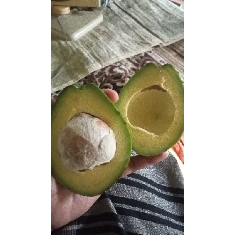 

Alpukat Lokal Malang Super 1kg