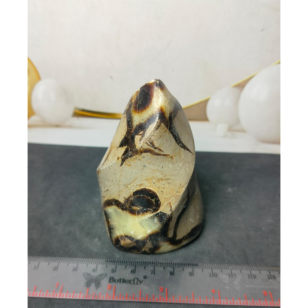 Natural Septarian Flame UV Reactive (4)