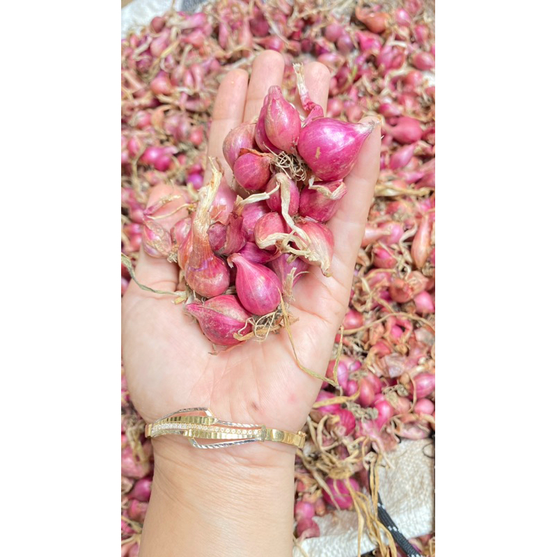 

[TERMURAH] bawang merah Brebes Asli
