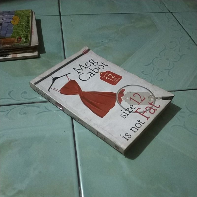 novel meg cabot SIZE 12 IS NOT FAT