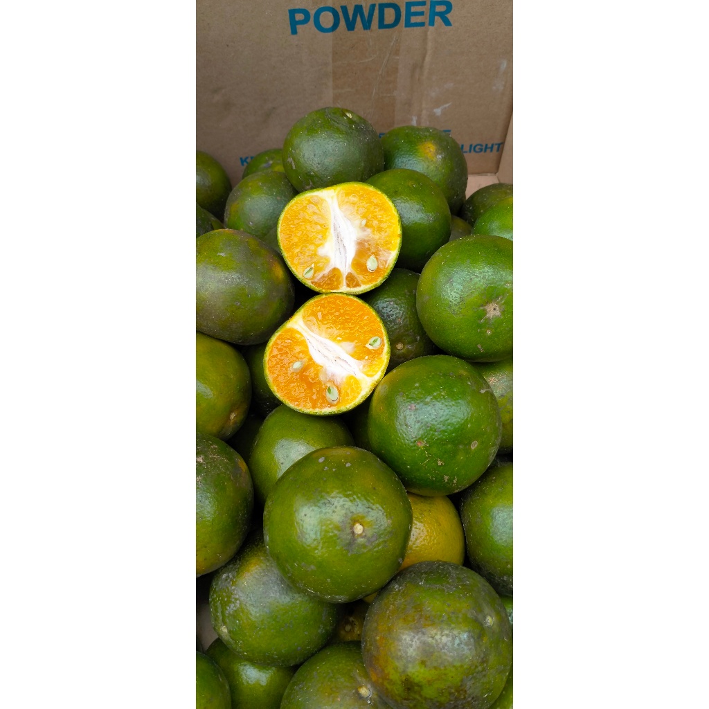 

/PROMO\ JERUK PERAS PONTIANAK/500gr-1000gr/Segar/Fresh