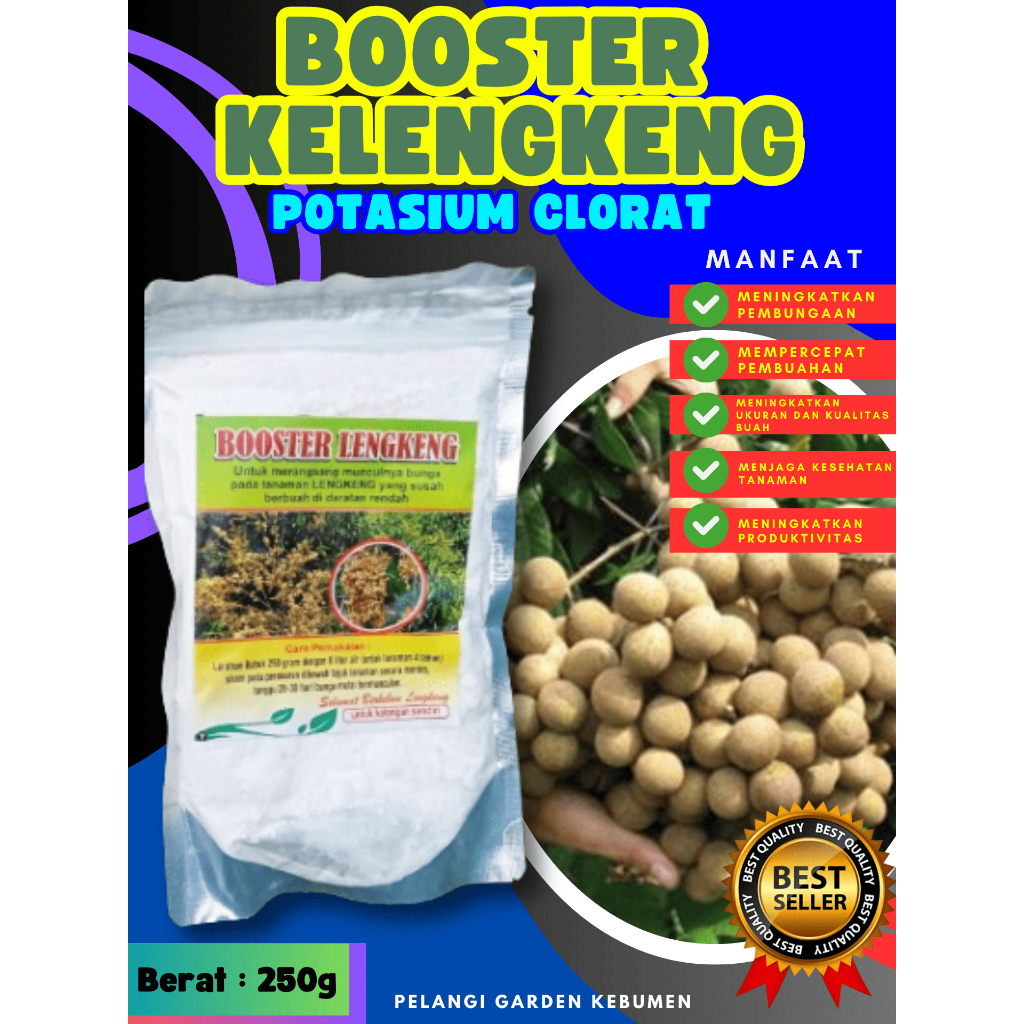 UNGGULAN ! Booster Buah Kelengkeng Sudah Berbunga, Booster Buah Kelengkeng Siap Berbuah