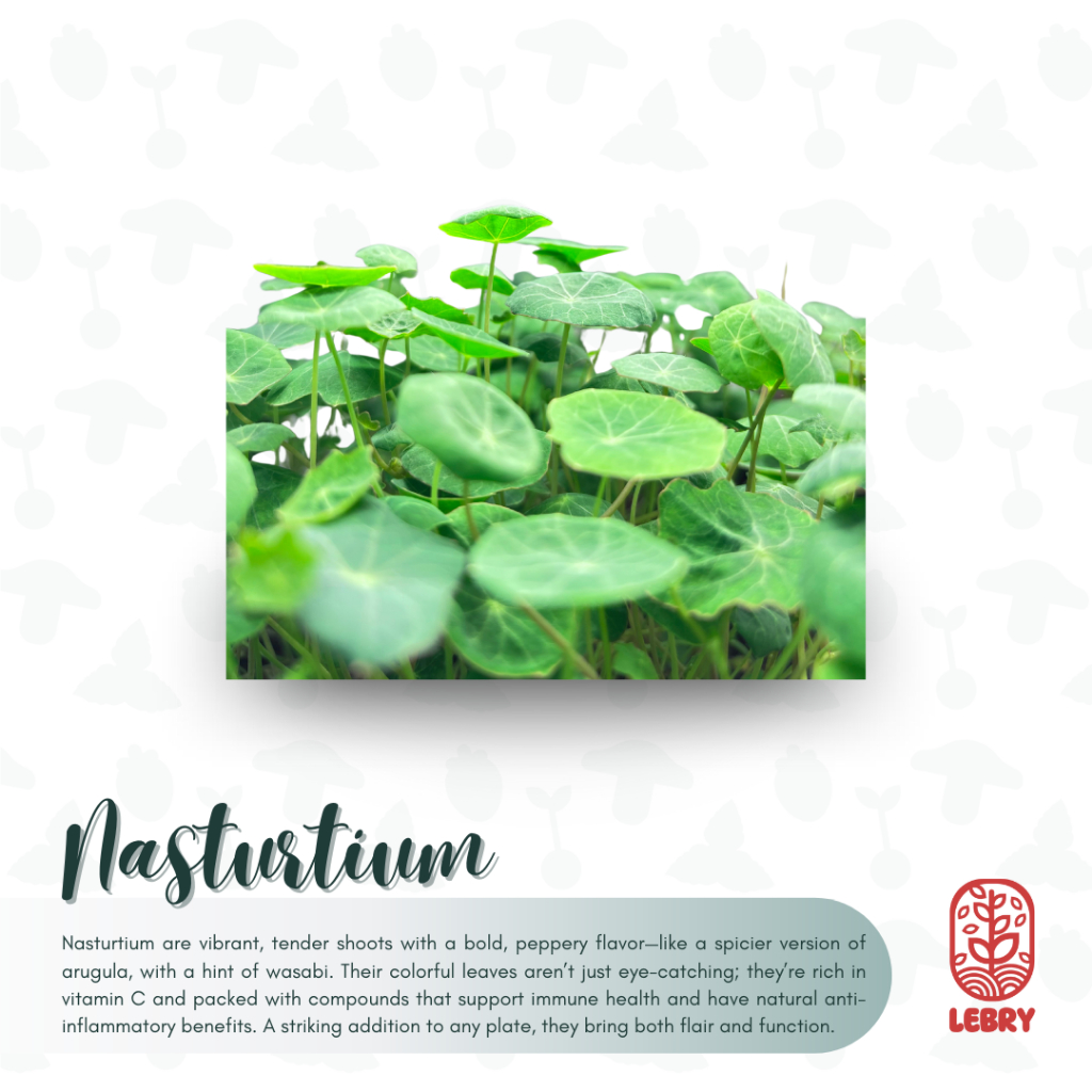 

Nasturtium