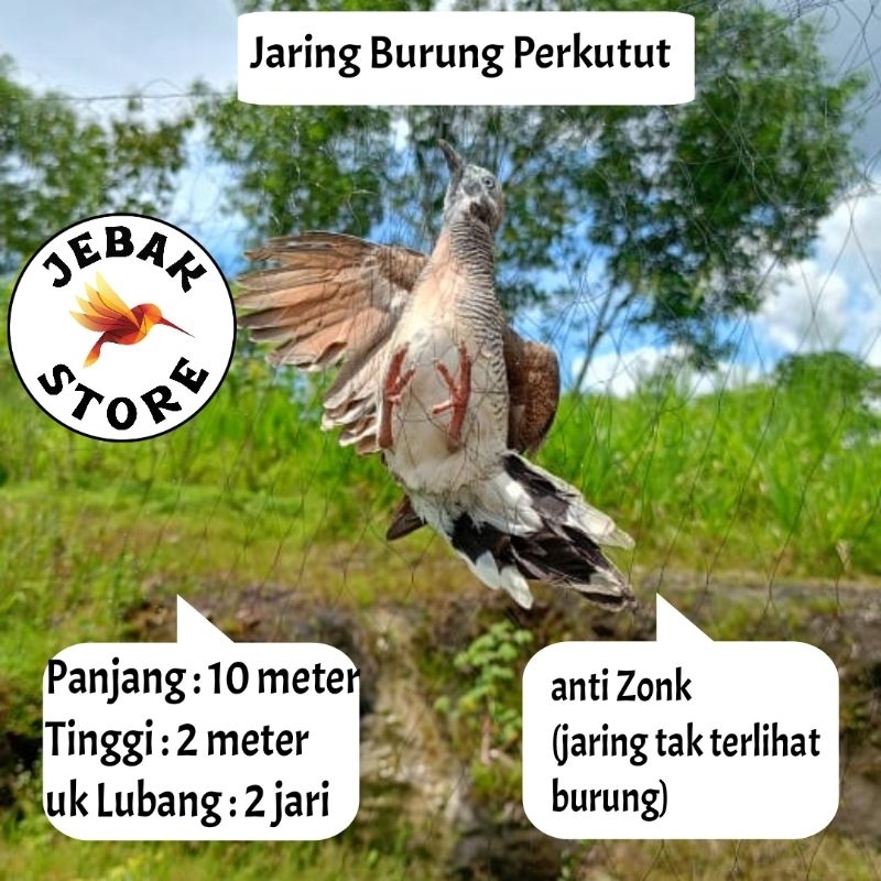 JARING BURUNG PERKUTUT JARING BURUNG KUTUT JARING BURUNG KUTUT JARING BURUNG BESAR JARING BURUNG 2 I