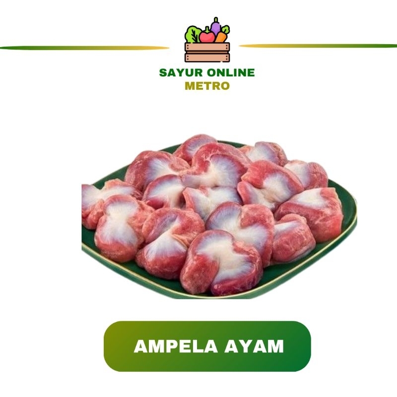

Ampela Ayam Fres / 250/500 gr - Sayur Online Metro
