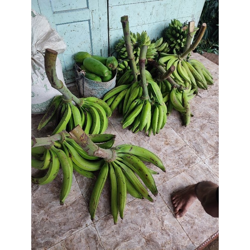 

Promo 5 buah Pisang Tanduk Asli Muria