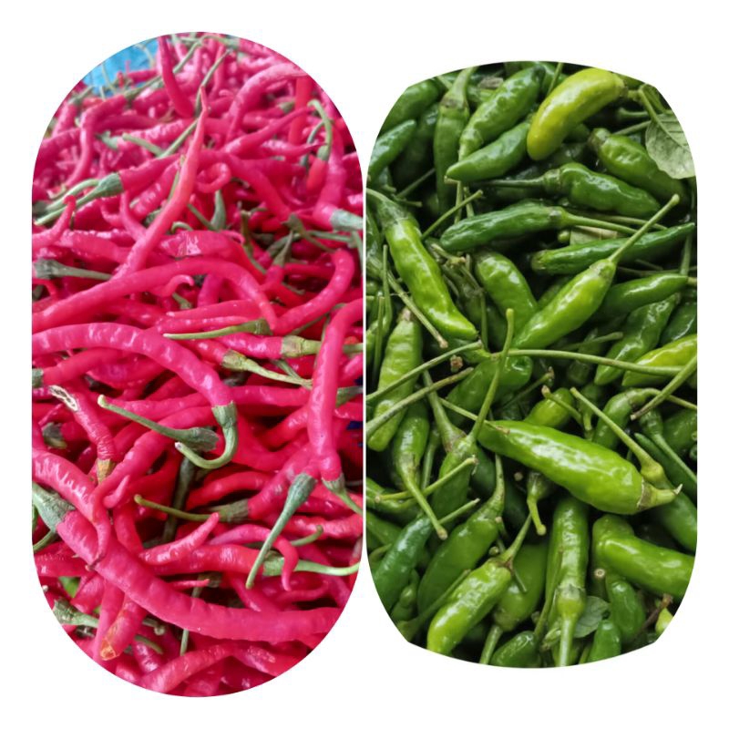 

cabe rawit hijau / merah keriting campur 250 gram