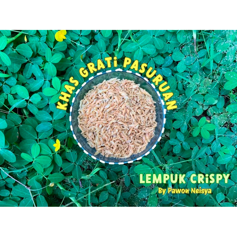 

Ikan Lempuk Crispy 100gr khas Danau Ranu Grati Pasuruan || camilan ikan gurih sehat untuk anak