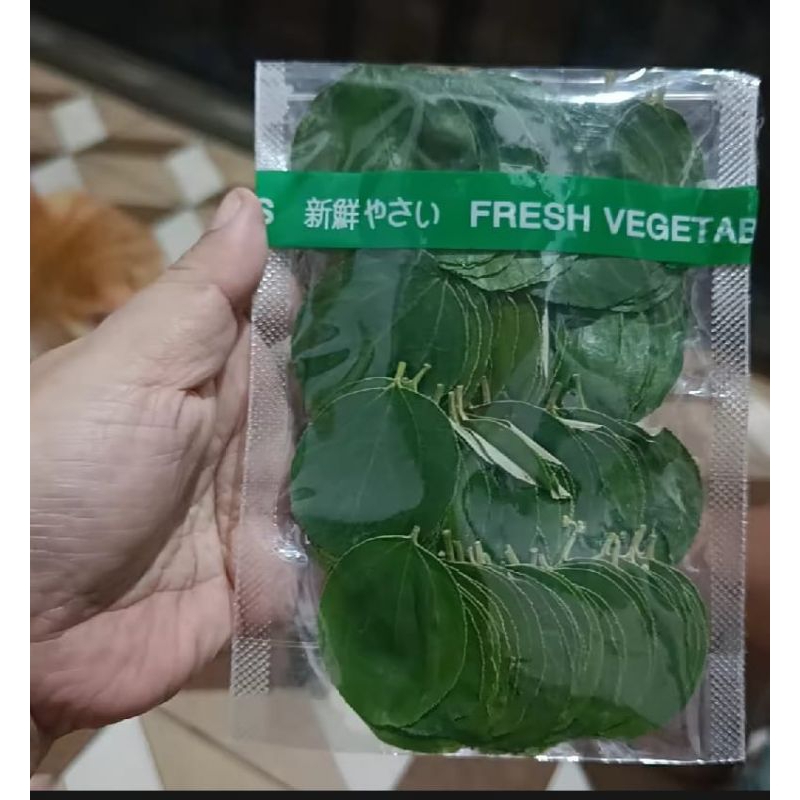 

daunbidaraarabsegar asli dan segarkualitas terbaik herbal