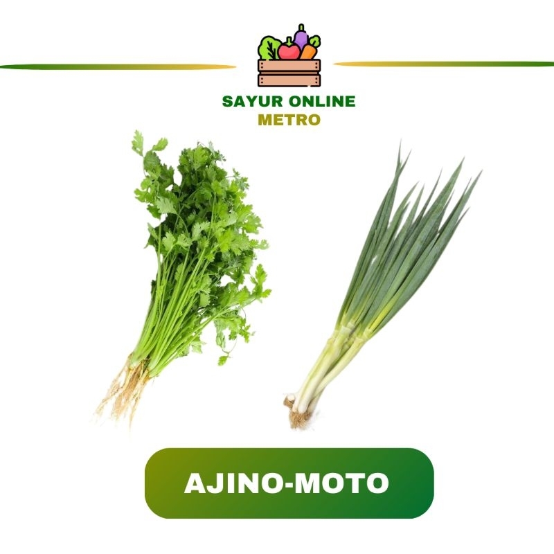 

Daun Bawang / Daun seledri / campur - Sayur Online Metro