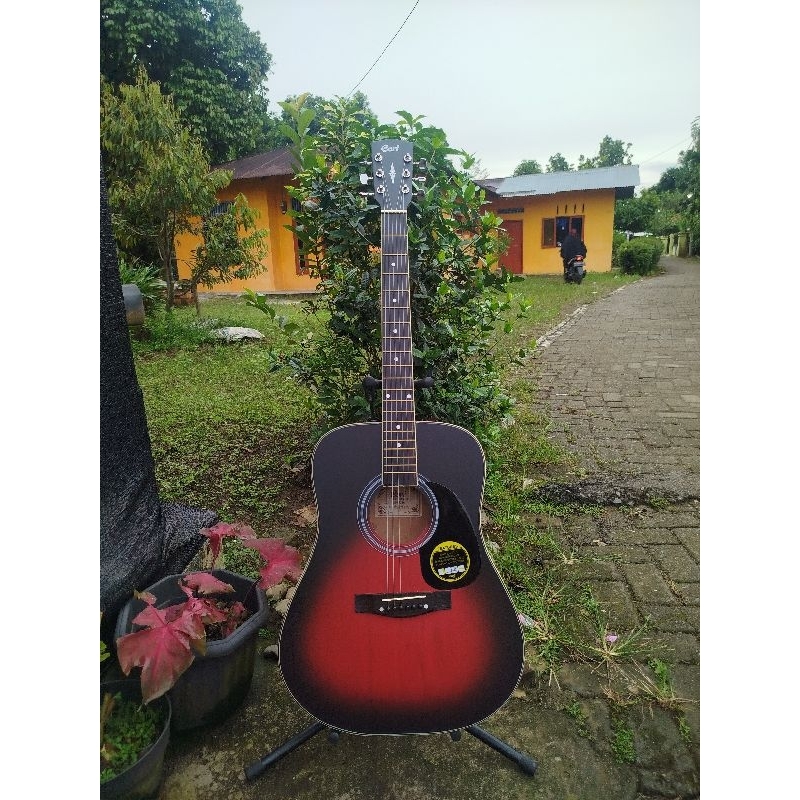 gitar cort custom