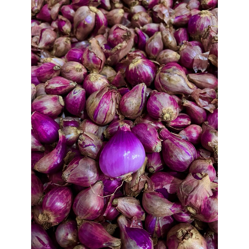 

Bawang Merah Lokal Fresh