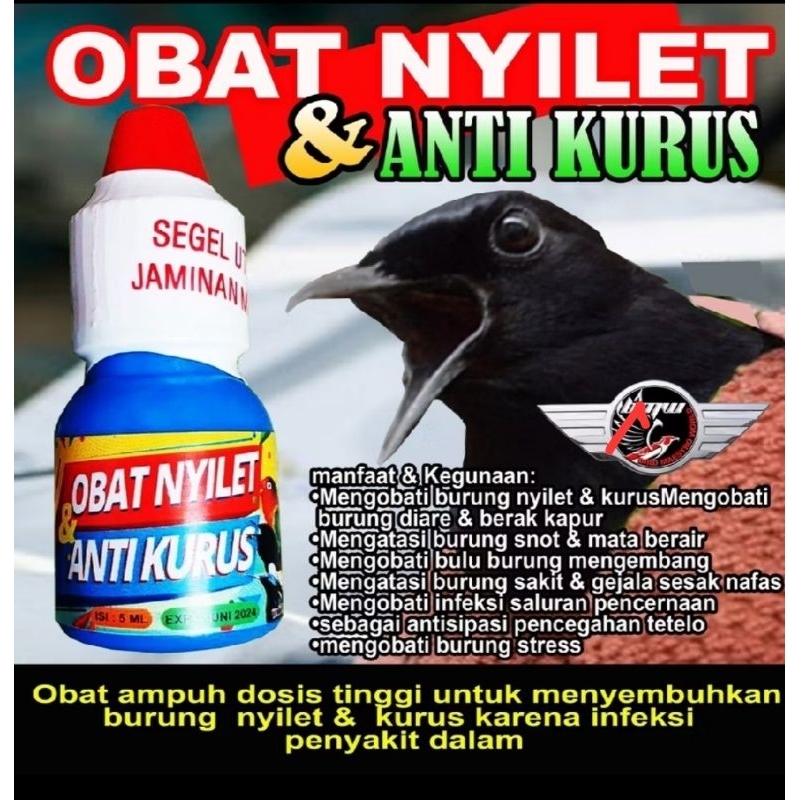 OBAT NYILET  DAN ANTI KURUS VITAMIN BURUNG MURAI KACER MENGATASI NYILET BMW