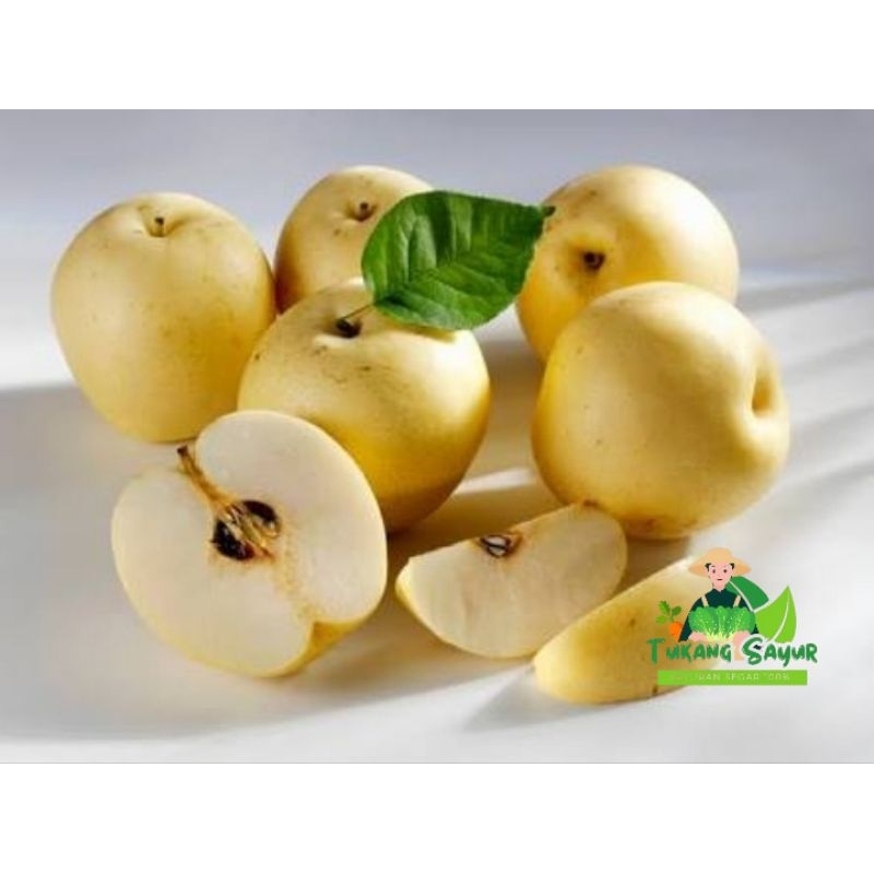 

Buah Pir per Kilo