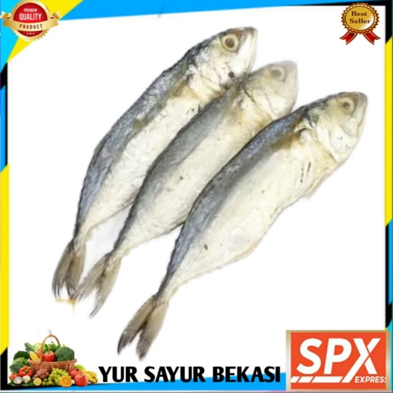 

Ikan Asin Tembang 250gr.