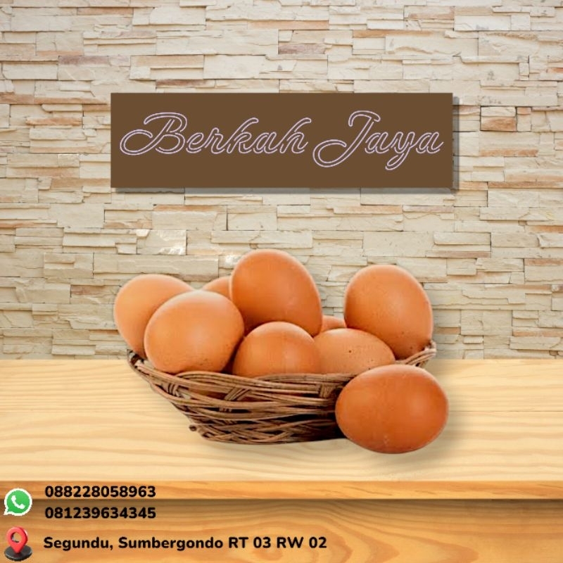 

TERMURAH !! TELUR AYAM NEGERI | TELUR AYAM RAS