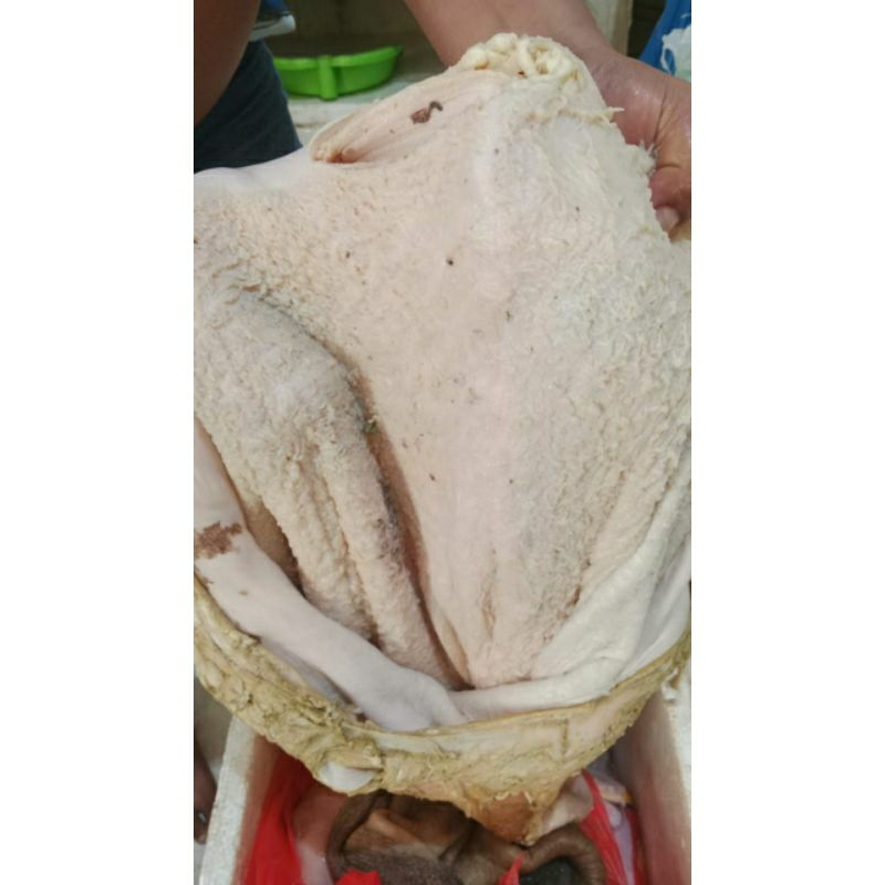 

babat putih bersih. Promo 500gr