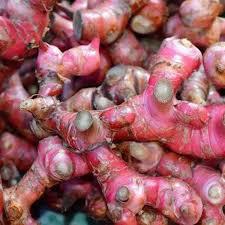 

Laos Merah 50gr 1 Pack Rempah Segar dan Aromatik untuk Masakan Tradisional
