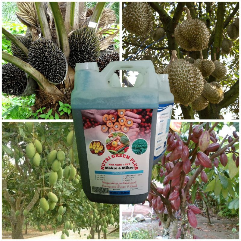 NPK NUTRIGREEN PLUS 5 Liter