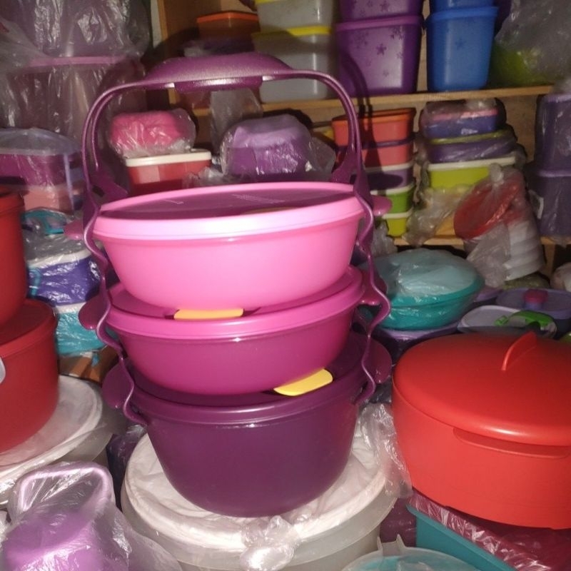 carry all bowl tupperware
