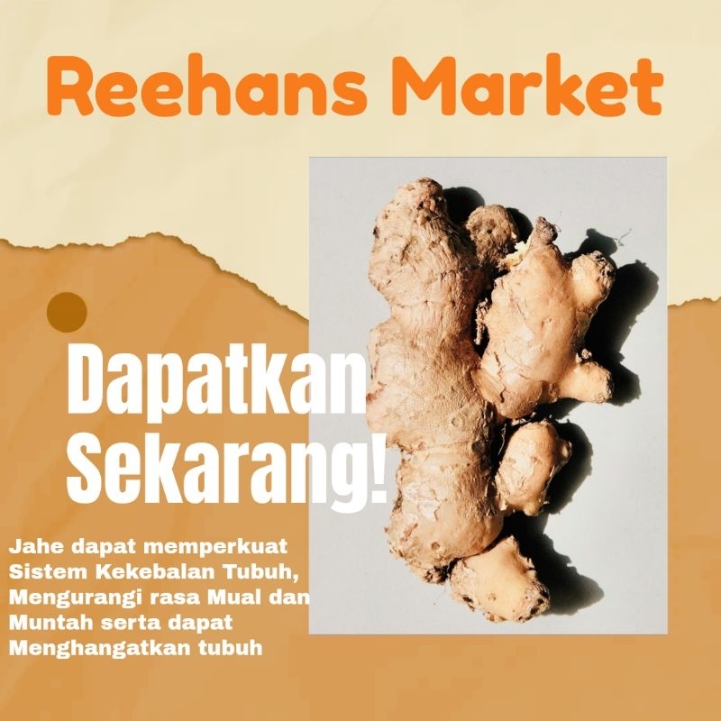 

Jahe Gajah Fresh 1kg-500g-250g
