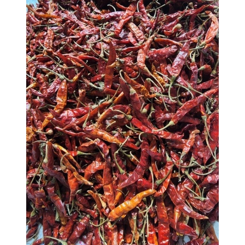 

Cabai Rawit Kering alami / Cabe Rawit Kecil Kering / Natural Dried Cayenne Pepper