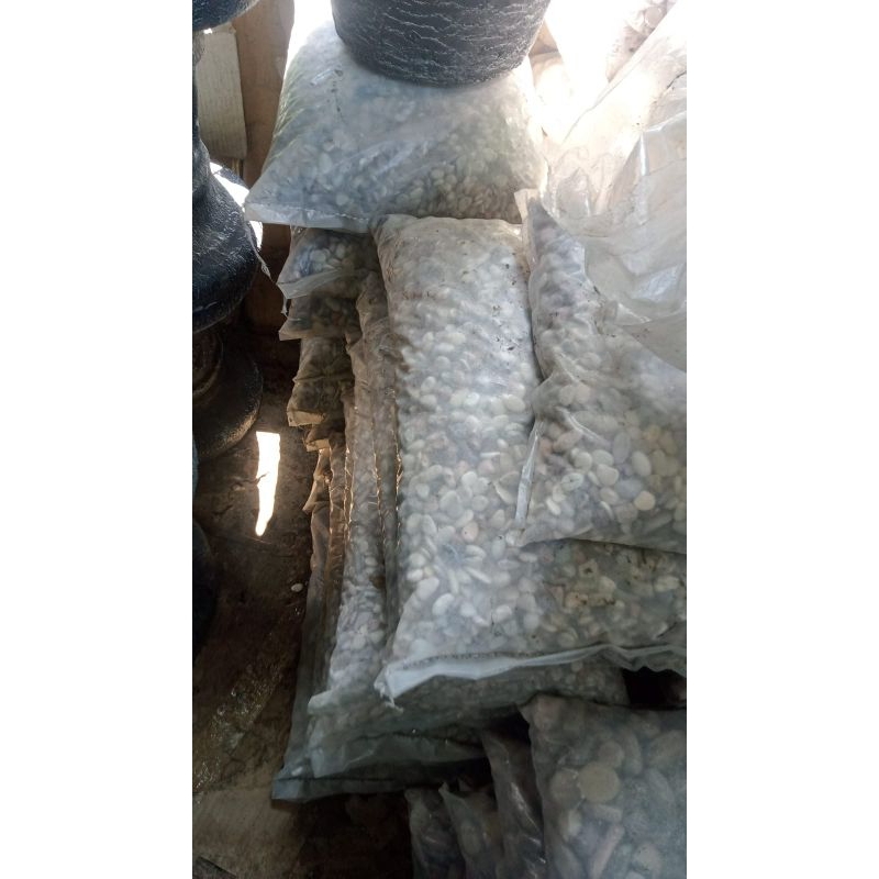 batu panca warna batu hias taman 1.kantong