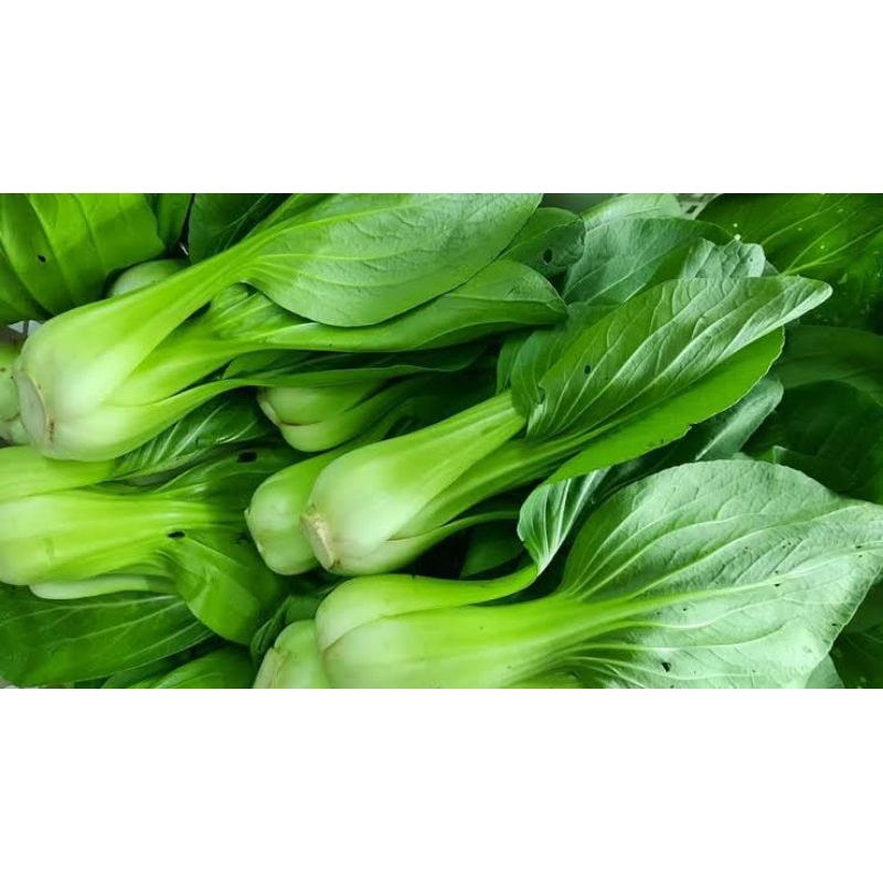 

pakcoy bok coy berat 250grm