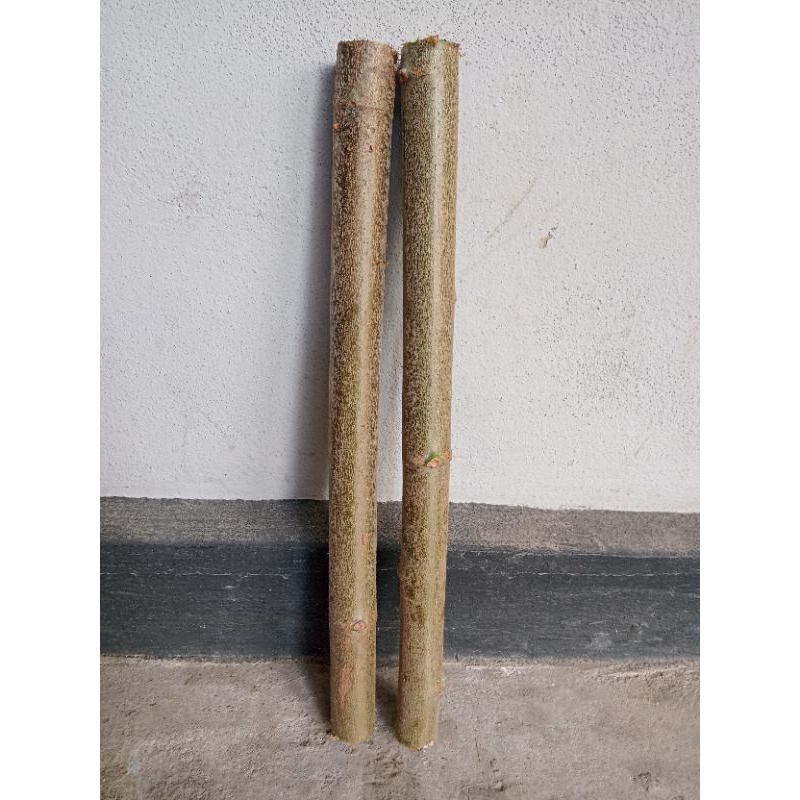 penjualan per batang ketela karet/pakan kambing /ramban/pakan ternak/ daun ketela pakan ternak