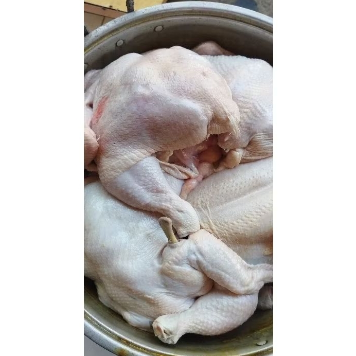 

AYAM POTONG 1KG