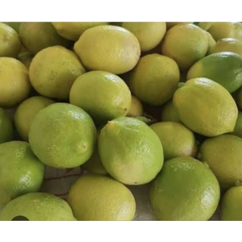 

Jeruk Lemon Lokal