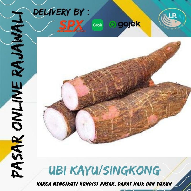 

Ubi Kayu/Singkong