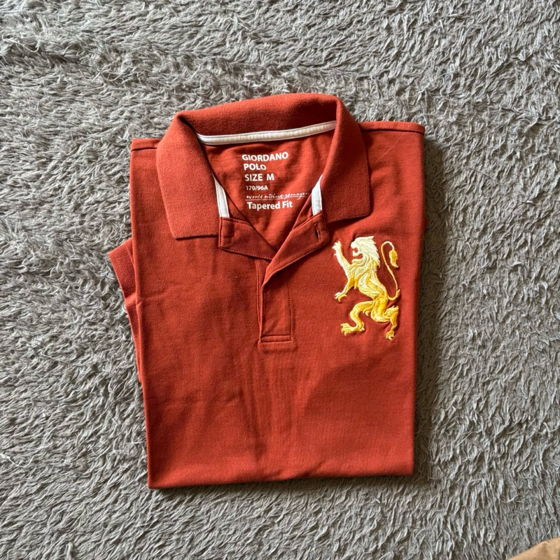 Giordano 3D Lion