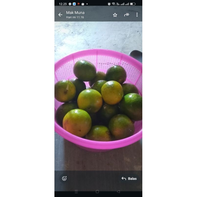 

jeruk rujak 1 kilo 5.000