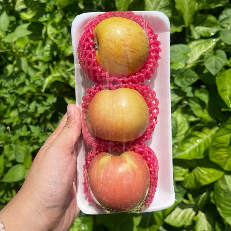 

BUAH PACK