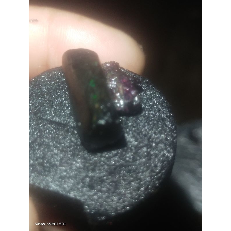 black opal sempur