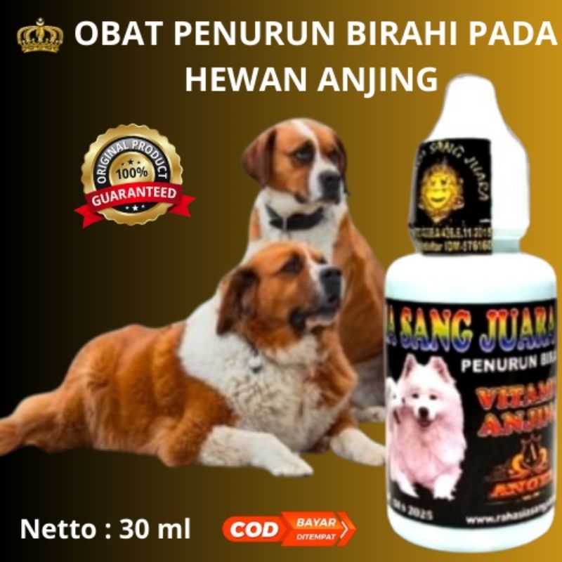 OBAT PENURUN BIRAHI HEWAN ANJING