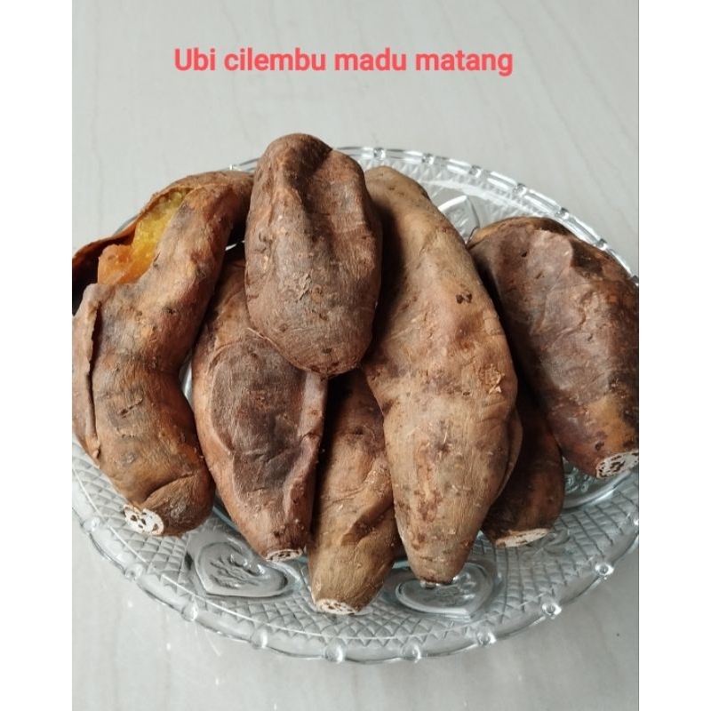 

Ubi Bakar Madu Cilembu Matang