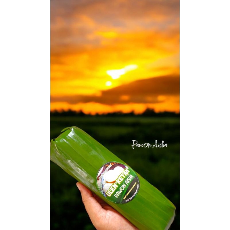 

ULI KETAN / ULEN PAWON AISHA ( 500 GRAM ) KEMASAN VACUM AWET & TAHAN LAMA