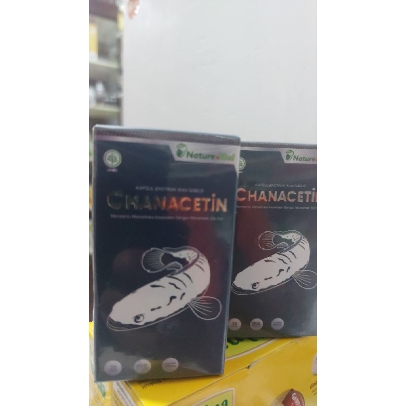Chanacetin, exrak ikan gabus, kapsul ikan gabus, Pengering luka operasi(Obat luka)