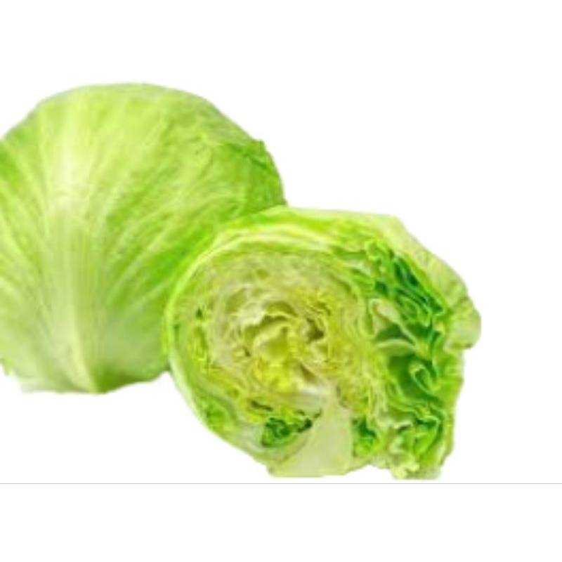 

Lettuce Hijau 500 gram
