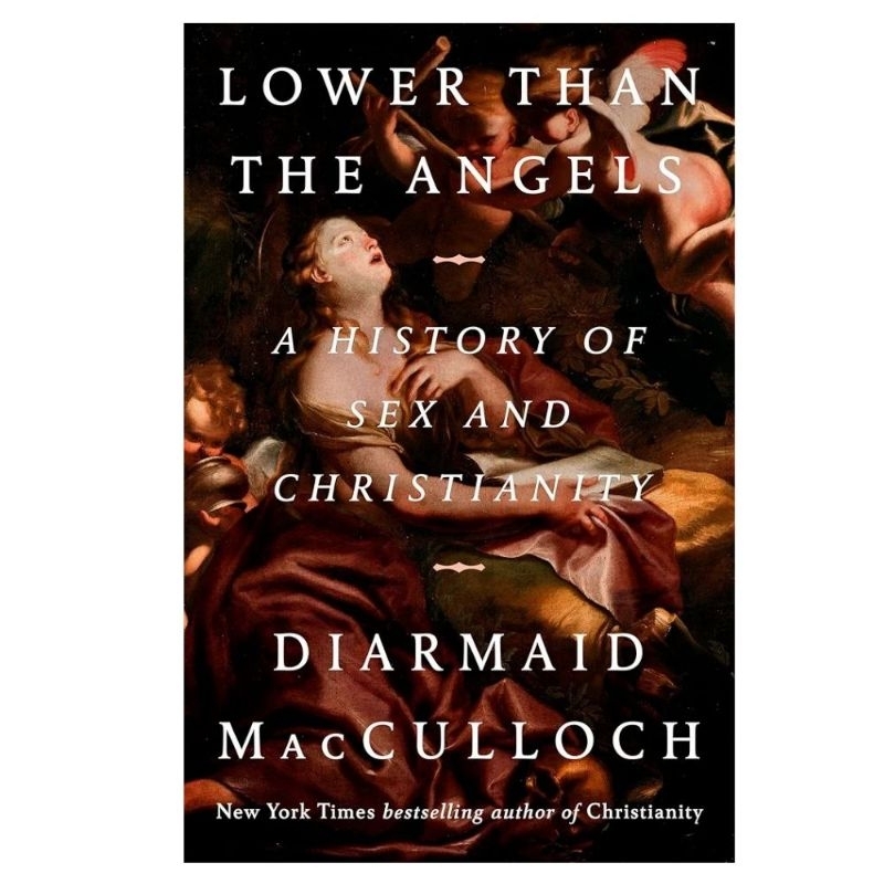 LOWER THAN THE ANGEL A HISTORY OF SEX AND CHRISTIANITY