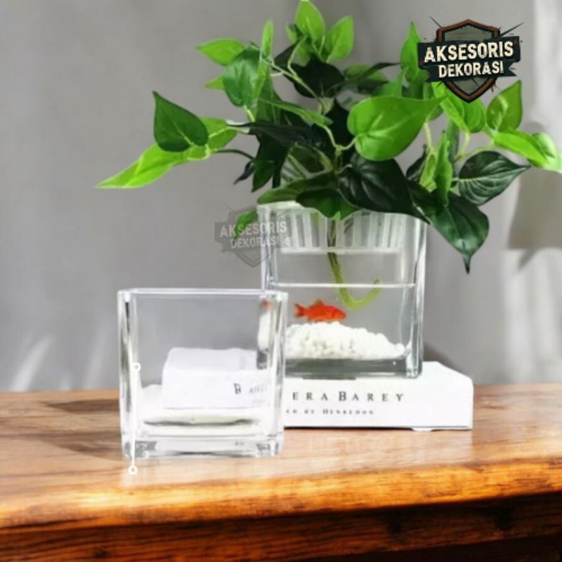 Vas Kaca Persegi Kotak 10x10 cm | Vas Kaca Estetik | Vas Kaca Bunga | Vas Kaca Tanaman | Vas Tanaman